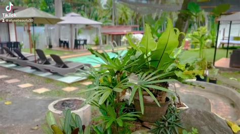 binugao toril|Villa D Eliz .
